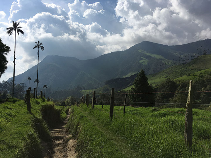 Cocora Hiking Guide700