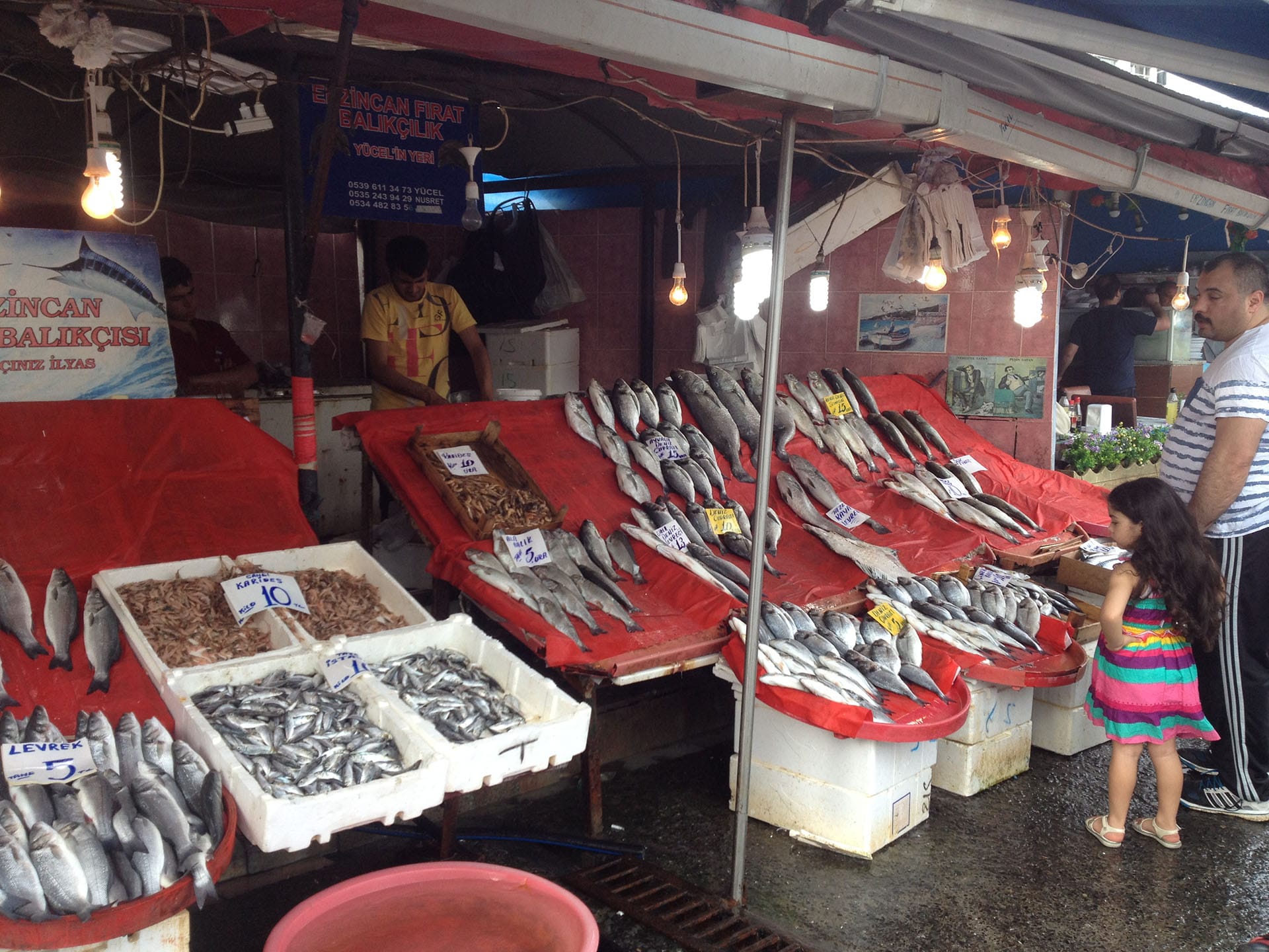 Istanbul, Turquie, marché aux poissons