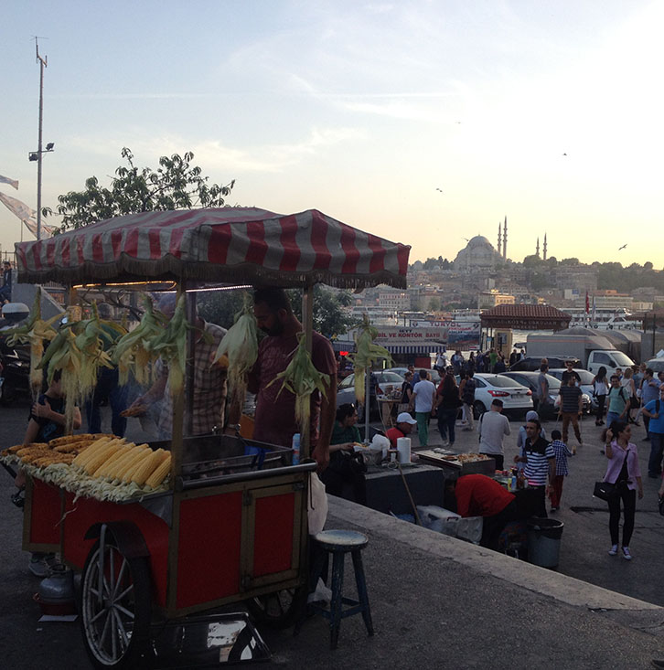 Istanbul, Turquie, Vendeur de rue